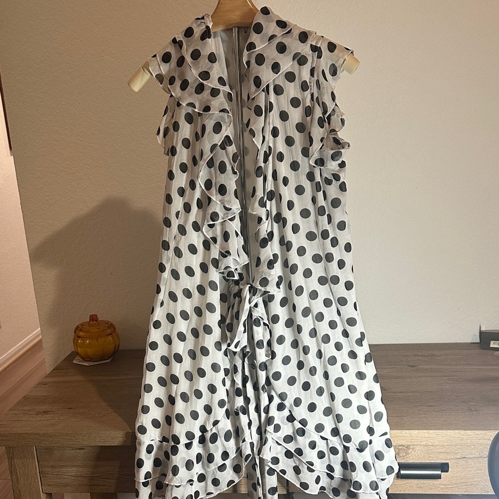 Polka Dot Ruffle Dress. Size L / G also oversized M.